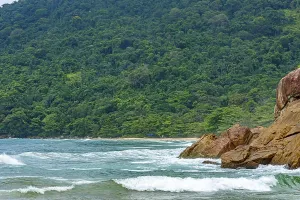 Brazilian Wilderness Scene Drucke: The encounter between the beach