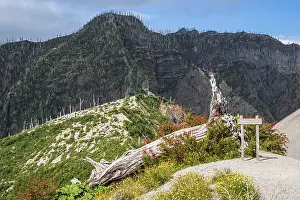 Deserted Hiking Path Drucke: End of hiking path up to viewpoint