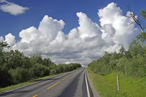 Wilderness Landscape Photography Drucke: Endless straight road leads up and down through forests