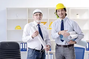 Single Person Working Drucke: Two engineers colleagues working under project