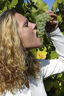 Nutrition Facts Fruit Drucke: Enjoy grapes