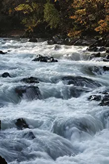 Enns River Austria Drucke: Enns River in the Gesaeuse Range