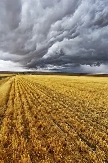 Weather Forecast Images Drucke: Enormous thundercloud above fields of Montana