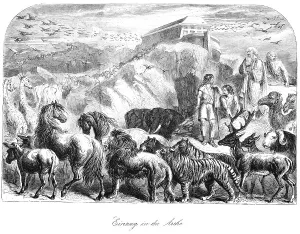 Mountainous Region Illustration Drucke: Entry into the ark, Noah's ark