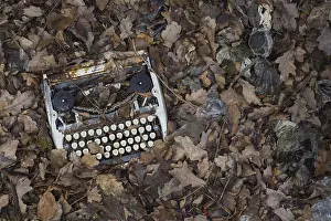 Hesse Germany Landscape Photo Drucke: Environmental pollution, broken typewriter on forest floor