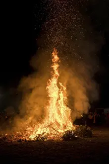 Southern Germany Environmental Issue Drucke: Environmental pollution, fire from discarded Christmas trees