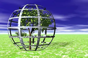 Environmental Protection Drucke: Environmental protection, tree protected by cage