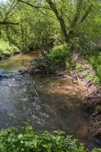 European River Landscapes Drucke: Erlbach, Germany, Greiz, Thuringia