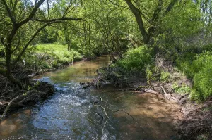 Europe Landscape Photography Drucke: Erlbach, Germany, Greiz, Thuringia