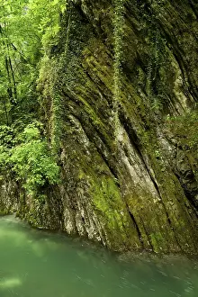 River Breggia Switzerland Drucke: Eroded bands of limestone, rocks