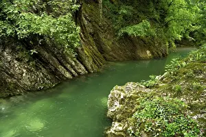 River Breggia Switzerland Drucke: Eroded bands of limestone, rocks