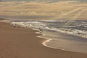 European Beaches Drucke: Esbjerg beach, Denmark