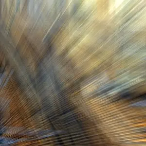 Bunte Abstrakte Kunst Drucke: Esthetischer abstrakter Hintergrund mit Strahlen und Schatten