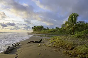 Moody Coastal Landscape Drucke: Evening atmosphere on the beach