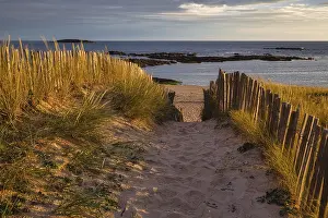 Deserted Beach Evening Drucke: Evening atmosphere on the beach