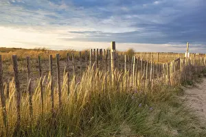 Deserted French Beach Drucke: Evening atmosphere on the beach