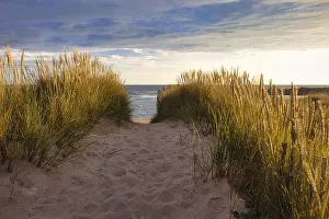 Deserted Beach Evening Drucke: Evening atmosphere on the beach
