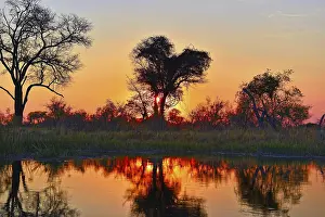 Deserted Waterfront In Africa Drucke: Evening atmosphere over the Kwando River in Namibia