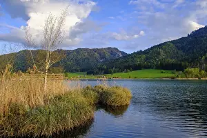 Evening Atmosphere Austria Drucke: Evening atmosphere at the WeiBensee