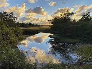 Drucke von Abendwolken spiegeln sich in einem kleinen See, Henne Strand, Jütland, Dänemark See Drucke: Abendwolken spiegeln sich in einem kleinen See.