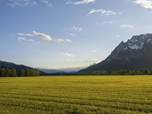 Bilder Datiert 17. Mai 2024: Abendlicht fällt auf eine Wiese.