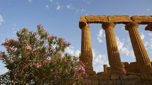 Agrigento Sicily Italy Drucke: Evening light, row of columns, chapter