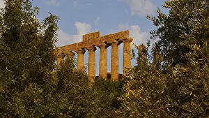 Historic Temple Complex Drucke: Evening light, row of columns, chapter