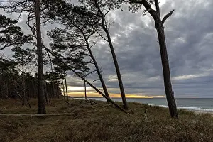 Atmospheric Coastal Scene Drucke: Evening light, sunset, Weststrand DarB