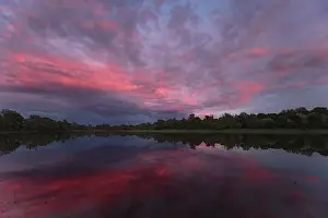 Evening Mood In Germany Drucke: Evening mood in the floodplain forest