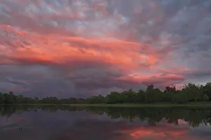 Middle Elbe Biosphere Reserve Germany Drucke: Evening mood in the floodplain forest