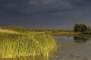 Evening Atmosphere In Nature Reserve Drucke: Evening mood in the floodplain forest