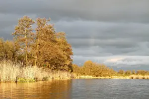 Deciduous Tree In Springtime Drucke: Evening mood on the Peene in spring