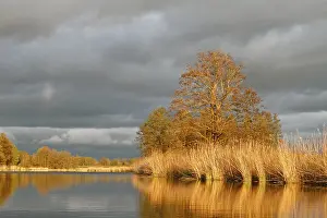 Atmospheric Evening Light In Europe Drucke: Evening mood on the Peene in spring