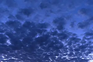 Cloudy Skies In Southern Germany Drucke: Evening sky with large fleecy clouds (Altocumulus)