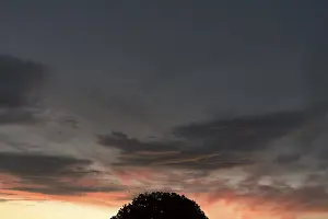 Evening Atmosphere Europe Drucke: Evening sky with tree silhouettes