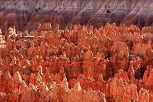American National Park Scenery Drucke: The evening sun illuminates the red rocks and creates sharp shadows