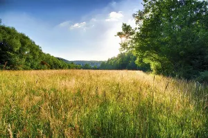 Summer Evening Mood Drucke: Evening sun in summer