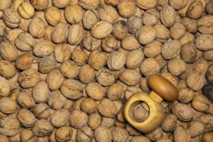 Empty Wooden Table Setting Drucke: Evenly distributed walnuts spread out to fill the format with a wooden nutcracker as a background