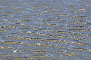 Lower Saxony Shoreline Drucke: Evenly flowing waves on a sandy beach