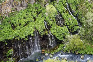 Deserted Canyon Landscape Photo Drucke: Evergreen backdrop with small waterfalls and rocky elements