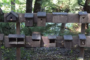 Ecofriendly Nesting Aid Drucke: Examples of different nest boxes, Brandenburg