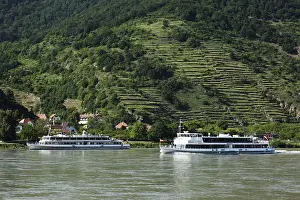 European Cruise Vessel Drucke: Excursion ships on the Danube river at Spitz