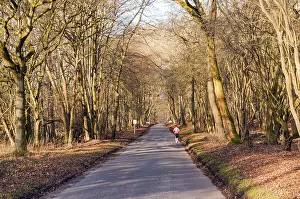 Northern Europe Winter Scene Drucke: Exercise on a winter's day
Exercise on a winter's day