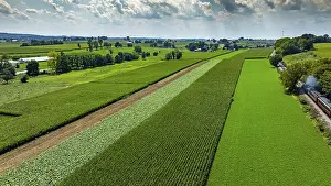 Rural Farming Practices Drucke: Expansive fields stretch across the landscape