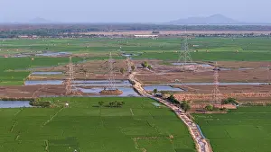 Rural Agricultural Landscapes Drucke: Expansive green rice paddy fields