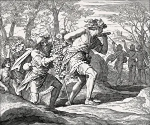 Julius Schnorr Von Carolsfeld Artist Drucke: Expedition Returns, Old Testament