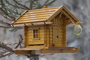 Eco Friendly Bird Feeder Drucke: Exquisite bird house made from solid wood