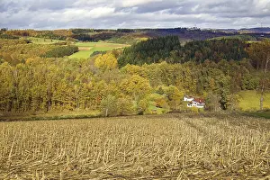 European Fall Colors Drucke: Extensive autumn landscape with fields