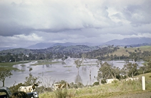 Abandoned Landscape Photography Drucke: Extensive flooding on the Murray River