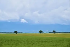 Cloudy Sky Landscape Photo Drucke: Extensive green fields with scattered trees